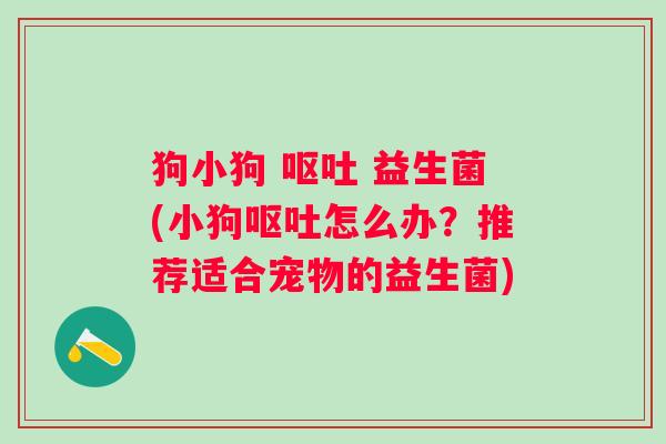 狗小狗 呕吐 益生菌(小狗呕吐怎么办？推荐适合宠物的益生菌)