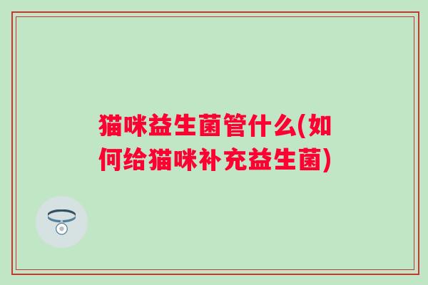猫咪益生菌管什么(如何给猫咪补充益生菌)