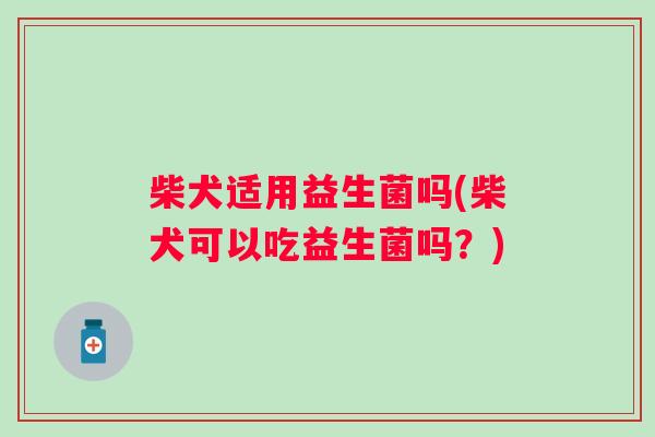 柴犬适用益生菌吗(柴犬可以吃益生菌吗？)