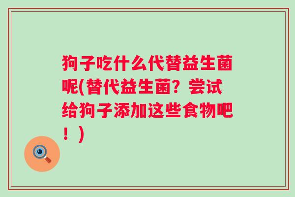 狗子吃什么代替益生菌呢(替代益生菌？尝试给狗子添加这些食物吧！)