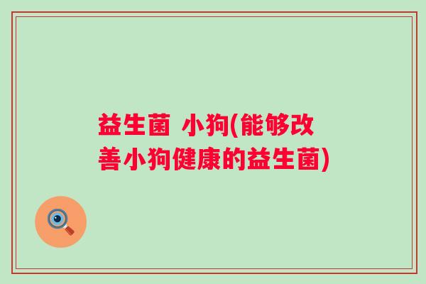 益生菌 小狗(能够改善小狗健康的益生菌)