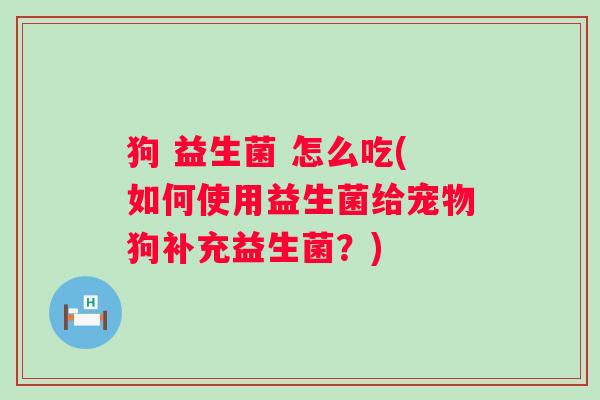 狗 益生菌 怎么吃(如何使用益生菌给宠物狗补充益生菌？)