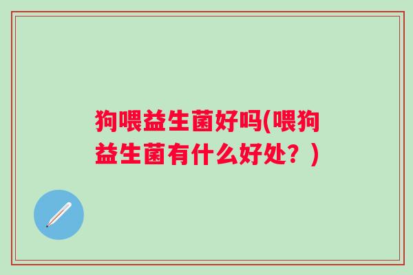 狗喂益生菌好吗(喂狗益生菌有什么好处？)