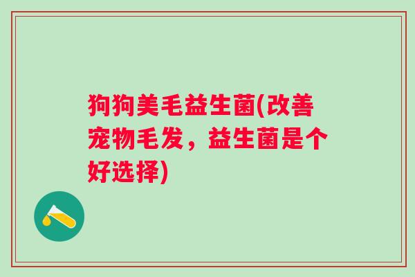 狗狗美毛益生菌(改善宠物毛发，益生菌是个好选择)