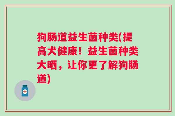 狗肠道益生菌种类(提高犬健康！益生菌种类大晒，让你更了解狗肠道)