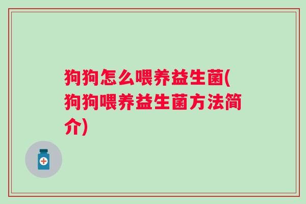 狗狗怎么喂养益生菌(狗狗喂养益生菌方法简介)