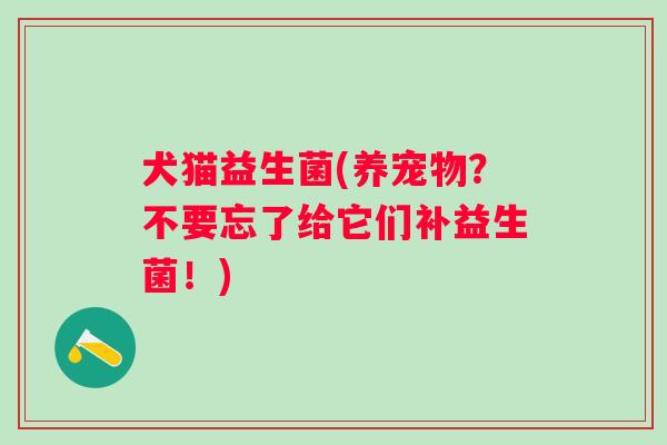 犬猫益生菌(养宠物?不要忘了给它们补益生菌!) 犬猫益生菌(养宠物?不要忘了给它们补益生菌!)