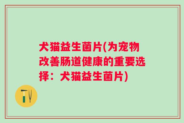 犬猫益生菌片(为宠物改善肠道健康的重要选择：犬猫益生菌片)