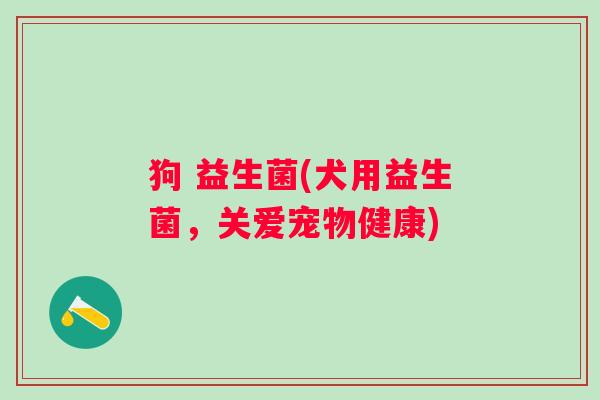 狗 益生菌(犬用益生菌，关爱宠物健康)