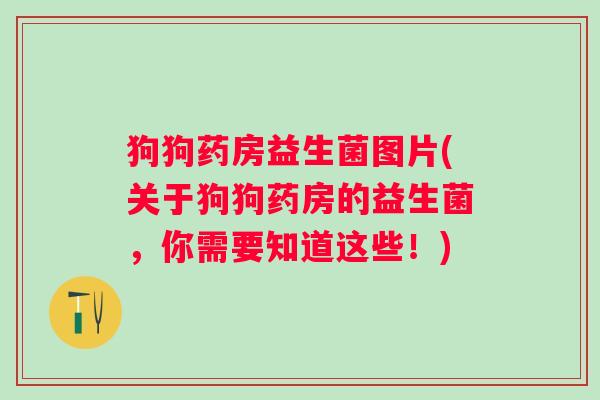 狗狗药房益生菌图片(关于狗狗药房的益生菌，你需要知道这些！)