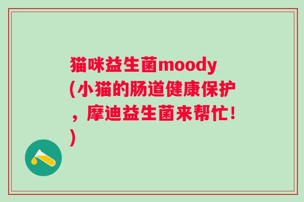 猫咪益生菌moody(小猫的肠道健康保护，摩迪益生菌来帮忙！)