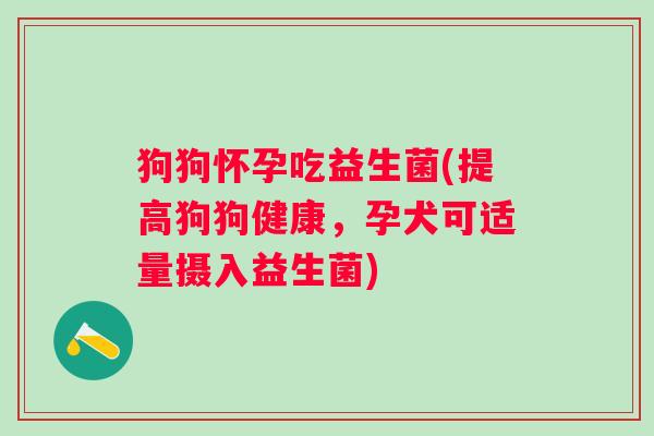 狗狗怀孕吃益生菌(提高狗狗健康，孕犬可适量摄入益生菌)