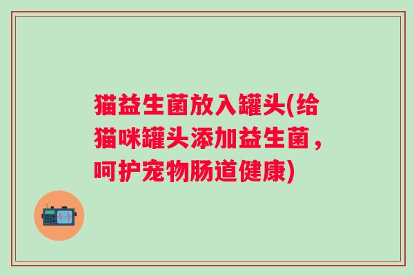 猫益生菌放入罐头(给猫咪罐头添加益生菌，呵护宠物肠道健康)