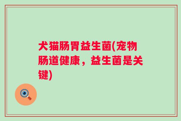 犬猫肠胃益生菌(宠物肠道健康，益生菌是关键)