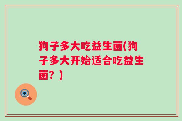 狗子多大吃益生菌(狗子多大开始适合吃益生菌？)