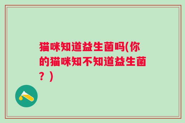 猫咪知道益生菌吗(你的猫咪知不知道益生菌？)