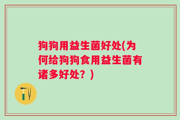 狗狗用益生菌好处(为何给狗狗食用益生菌有诸多好处？)