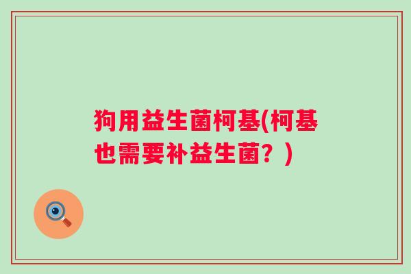 狗用益生菌柯基(柯基也需要补益生菌？)