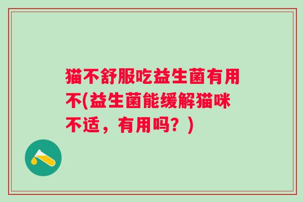 猫不舒服吃益生菌有用不(益生菌能缓解猫咪不适，有用吗？)