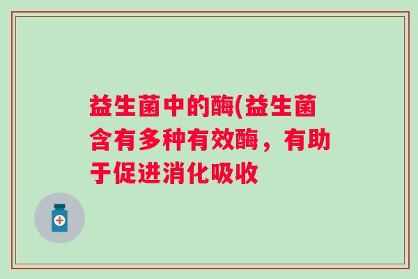 益生菌中的酶(益生菌含有多种有效酶，有助于促进消化吸收
