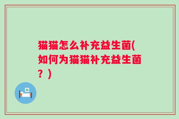 猫猫怎么补充益生菌(如何为猫猫补充益生菌？)