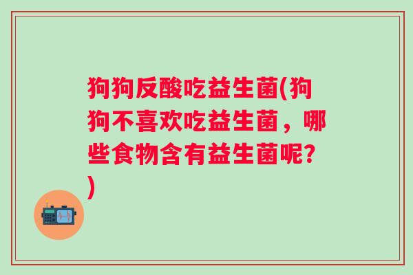 狗狗反酸吃益生菌(狗狗不喜欢吃益生菌，哪些食物含有益生菌呢？)