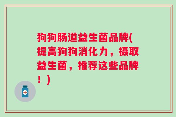 狗狗肠道益生菌品牌(提高狗狗消化力,摄取益生菌,推荐这些品牌!) 狗狗肠道益生菌品牌(提高狗狗消化力,摄取益生菌,推荐这些品牌!)