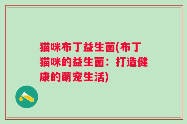 猫咪布丁益生菌(布丁猫咪的益生菌：打造健康的萌宠生活)