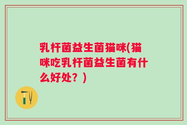 乳杆菌益生菌猫咪(猫咪吃乳杆菌益生菌有什么好处？)