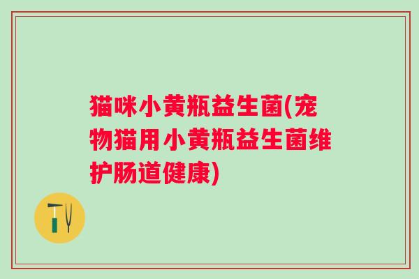 猫咪小黄瓶益生菌(宠物猫用小黄瓶益生菌维护肠道健康)