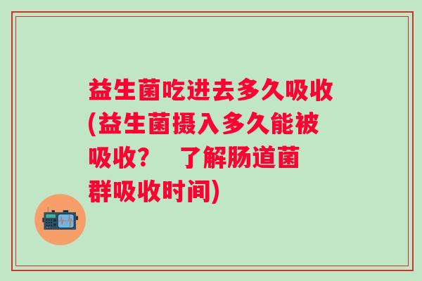 益生菌吃进去多久吸收(益生菌摄入多久能被吸收？  了解肠道菌群吸收时间)
