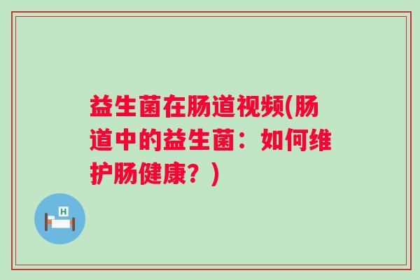 益生菌在肠道视频(肠道中的益生菌：如何维护肠健康？)