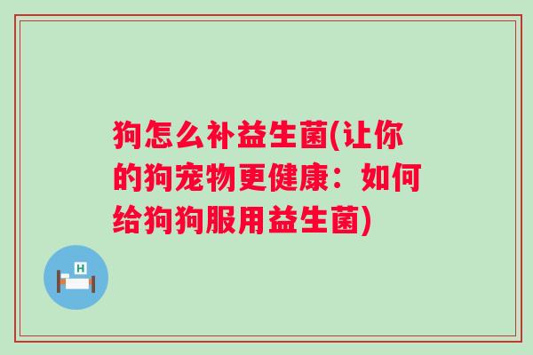 狗怎么补益生菌(让你的狗宠物更健康：如何给狗狗服用益生菌)