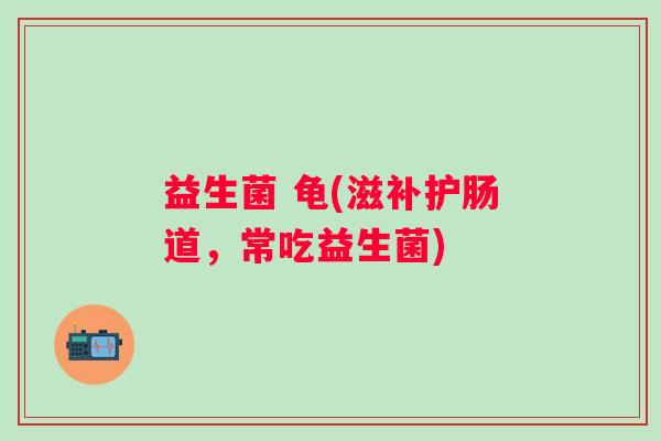益生菌 龟(滋补护肠道，常吃益生菌)