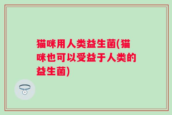 猫咪用人类益生菌(猫咪也可以受益于人类的益生菌)