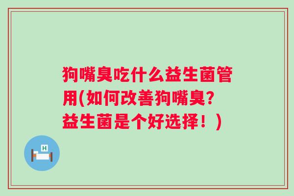 狗嘴臭吃什么益生菌管用(如何改善狗嘴臭？益生菌是个好选择！)