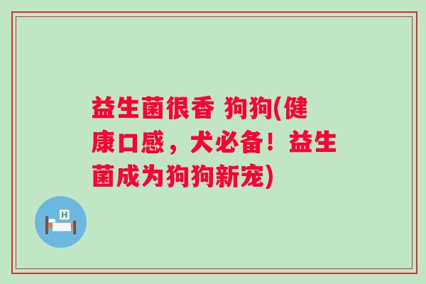 益生菌很香 狗狗(健康口感，犬必备！益生菌成为狗狗新宠)