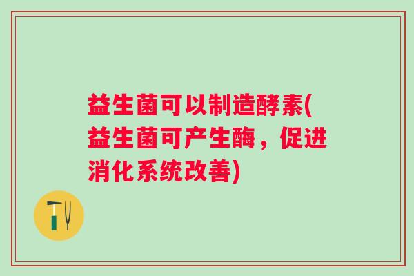 益生菌可以制造酵素(益生菌可产生酶，促进消化系统改善)