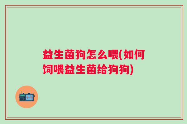 益生菌狗怎么喂(如何饲喂益生菌给狗狗)