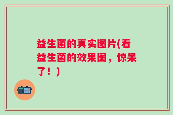 益生菌的真实图片(看益生菌的效果图，惊呆了！)
