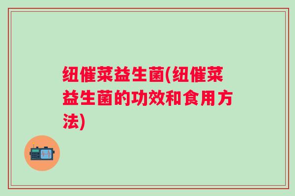 纽催菜益生菌(纽催菜益生菌的功效和食用方法)