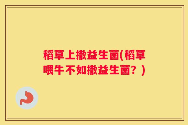 稻草上撒益生菌(稻草喂牛不如撒益生菌？)