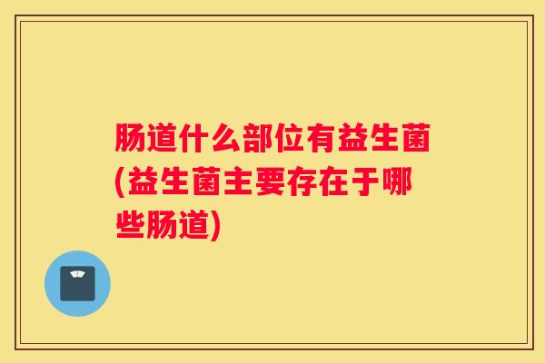 肠道什么部位有益生菌(益生菌主要存在于哪些肠道)