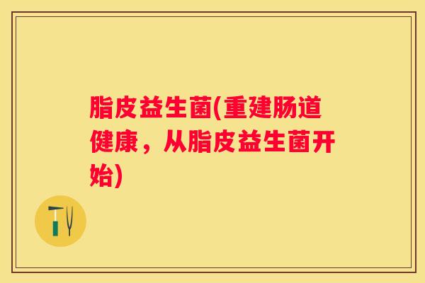 脂皮益生菌(重建肠道健康，从脂皮益生菌开始)