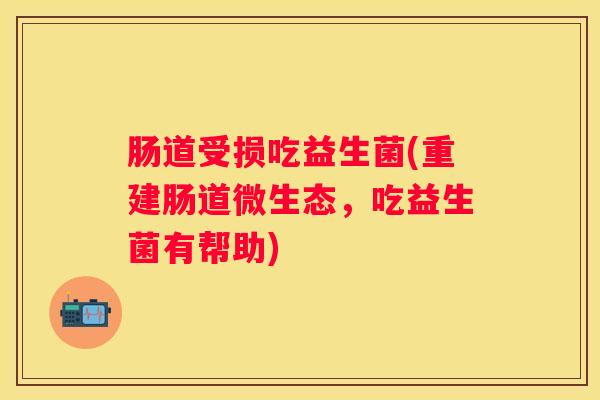 肠道受损吃益生菌(重建肠道微生态，吃益生菌有帮助)