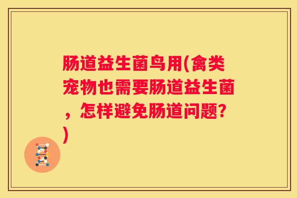 肠道益生菌鸟用(禽类宠物也需要肠道益生菌，怎样避免肠道问题？)