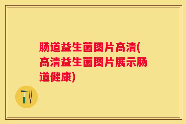 肠道益生菌图片高清(高清益生菌图片展示肠道健康)