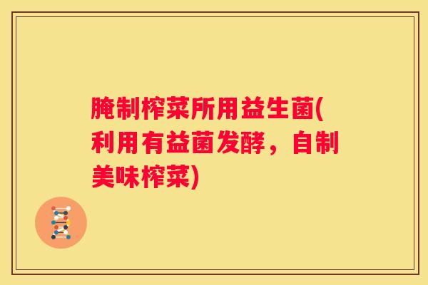 腌制榨菜所用益生菌(利用有益菌发酵，自制美味榨菜)