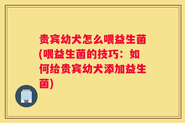 贵宾幼犬怎么喂益生菌(喂益生菌的技巧：如何给贵宾幼犬添加益生菌)