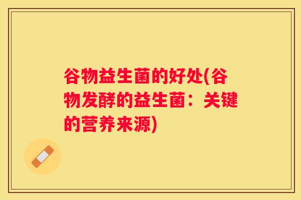 谷物益生菌的好处(谷物发酵的益生菌：关键的营养来源)
